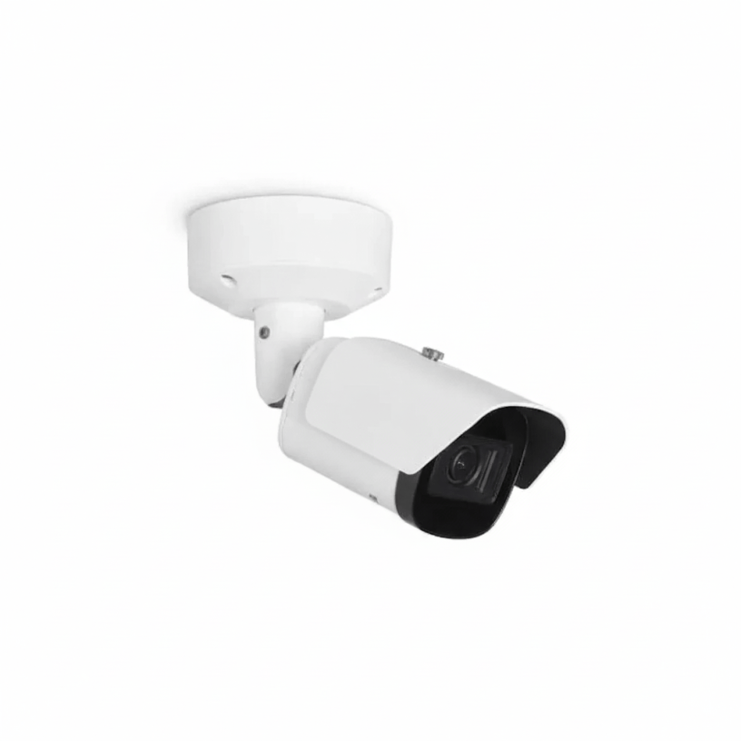 Gate camera